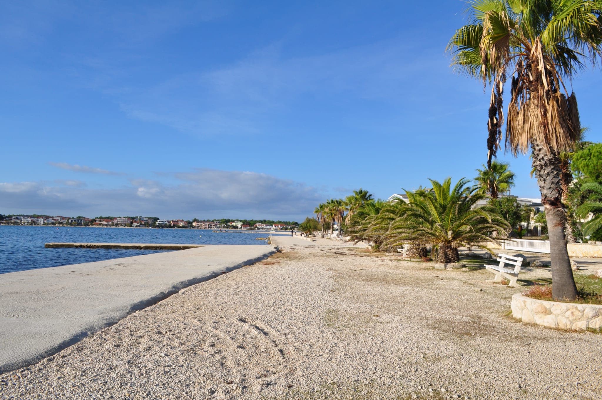 Palm Beach Paradise